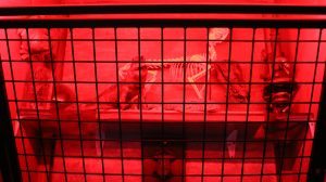 חדר בריחה בתל אביב